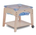 Zand- en Watertafel B58 x D58 x H59 cm Esdoorn Tangara Groothandel Kinderopvang en kinderdagverblijf inrichting01 (327)